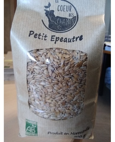 Petit épeautre Petit épeautre