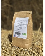 Quinoa BIO