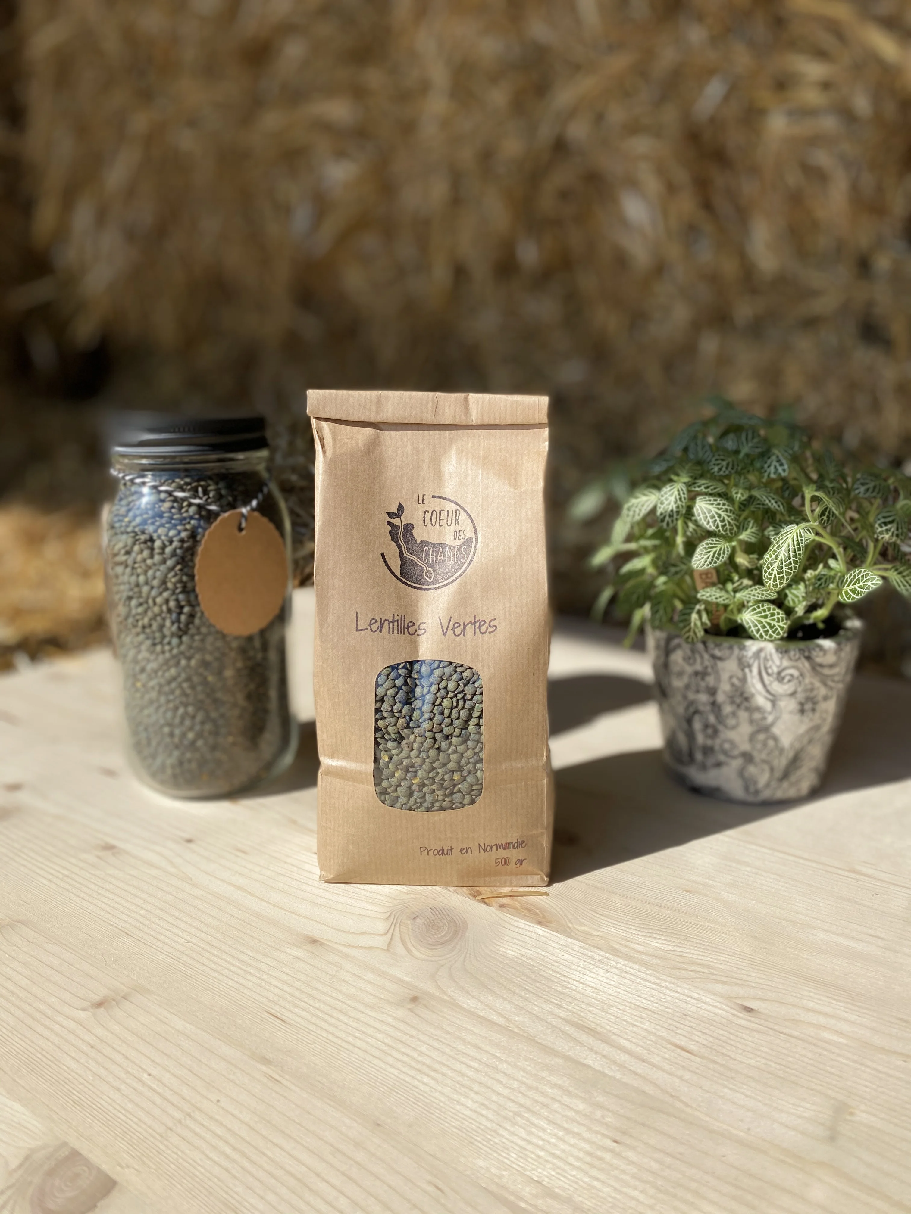 Lentilles Vertes BIO