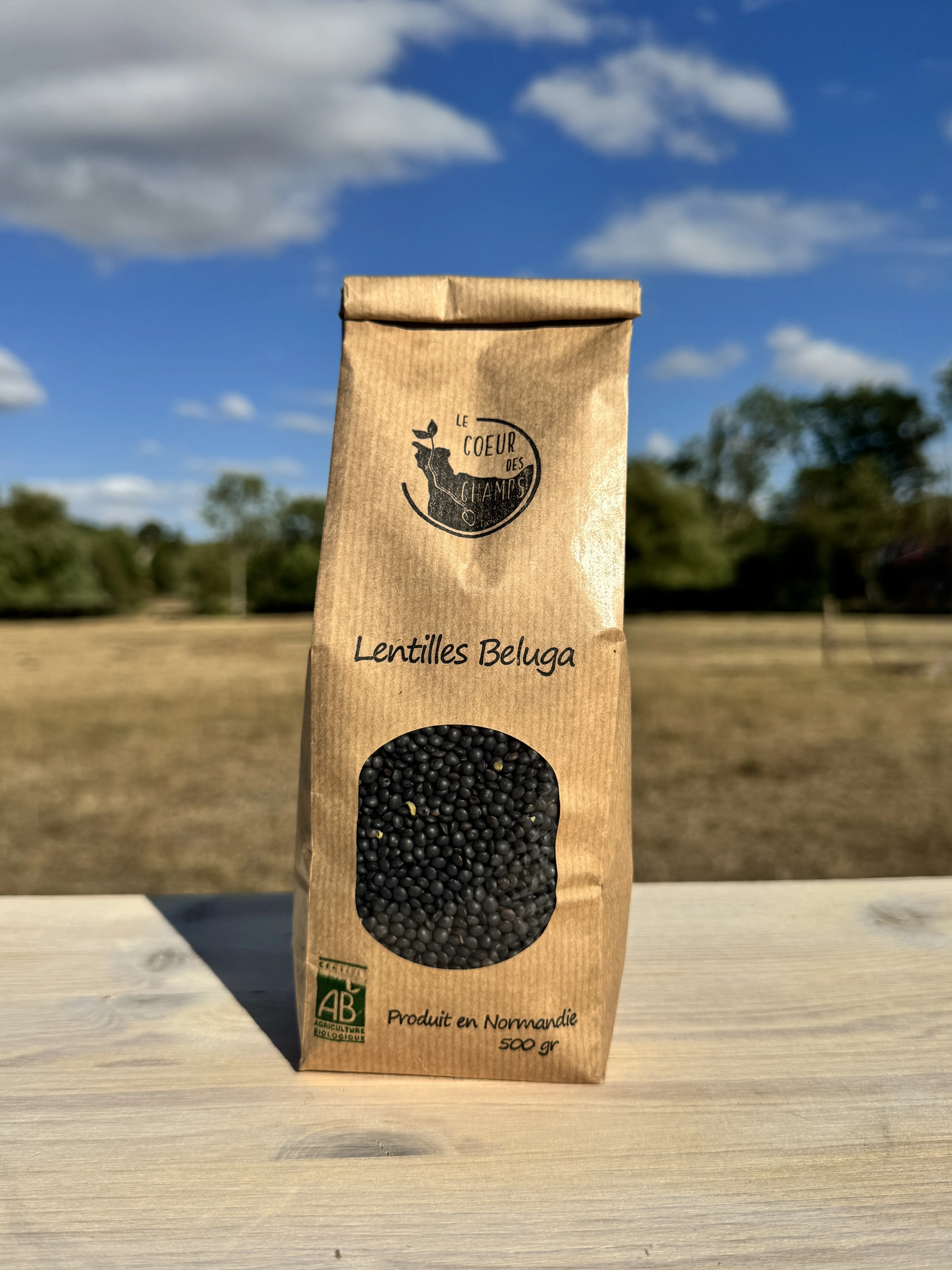 Lentilles Beluga BIO