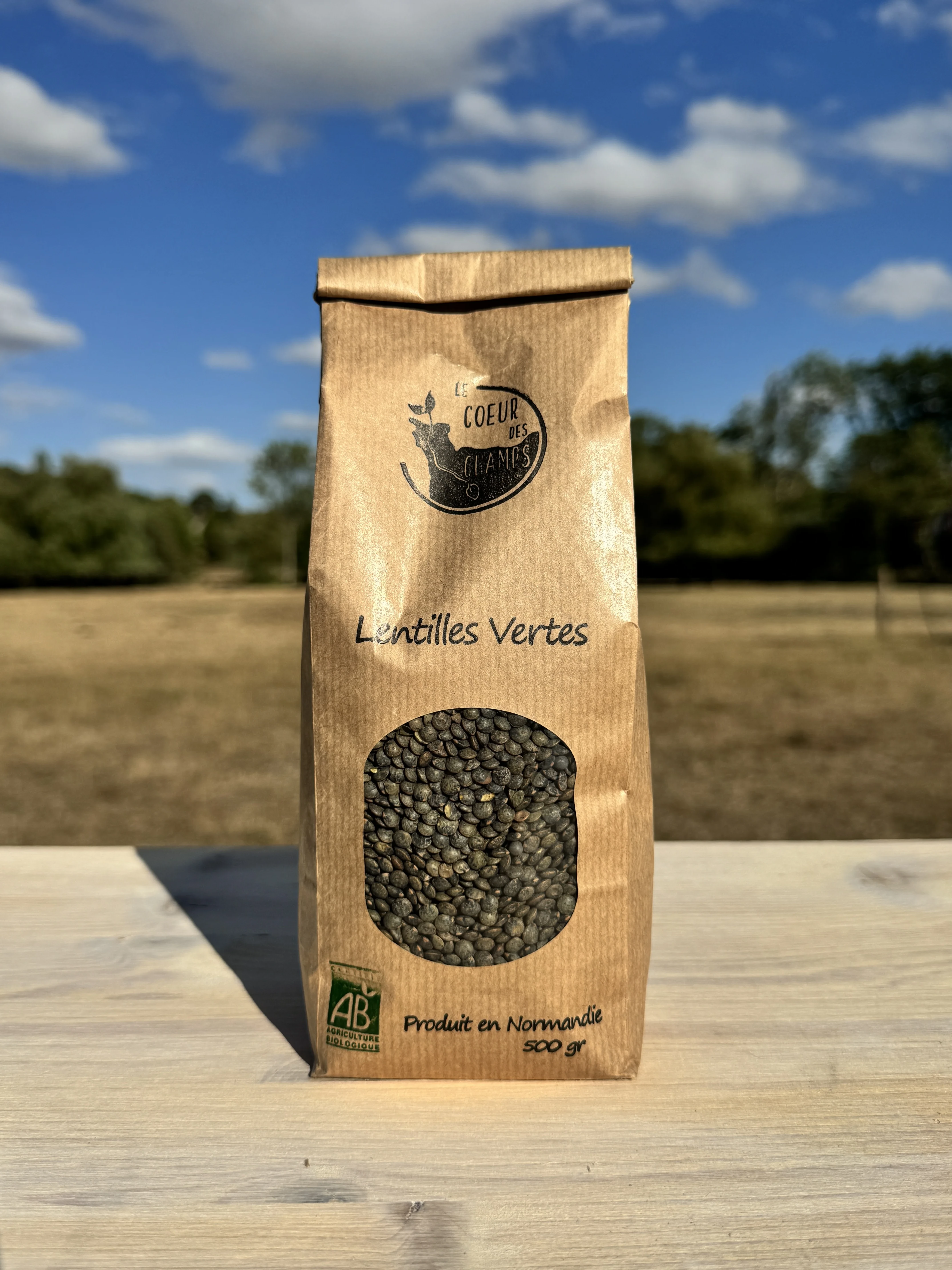Lentilles Vertes BIO