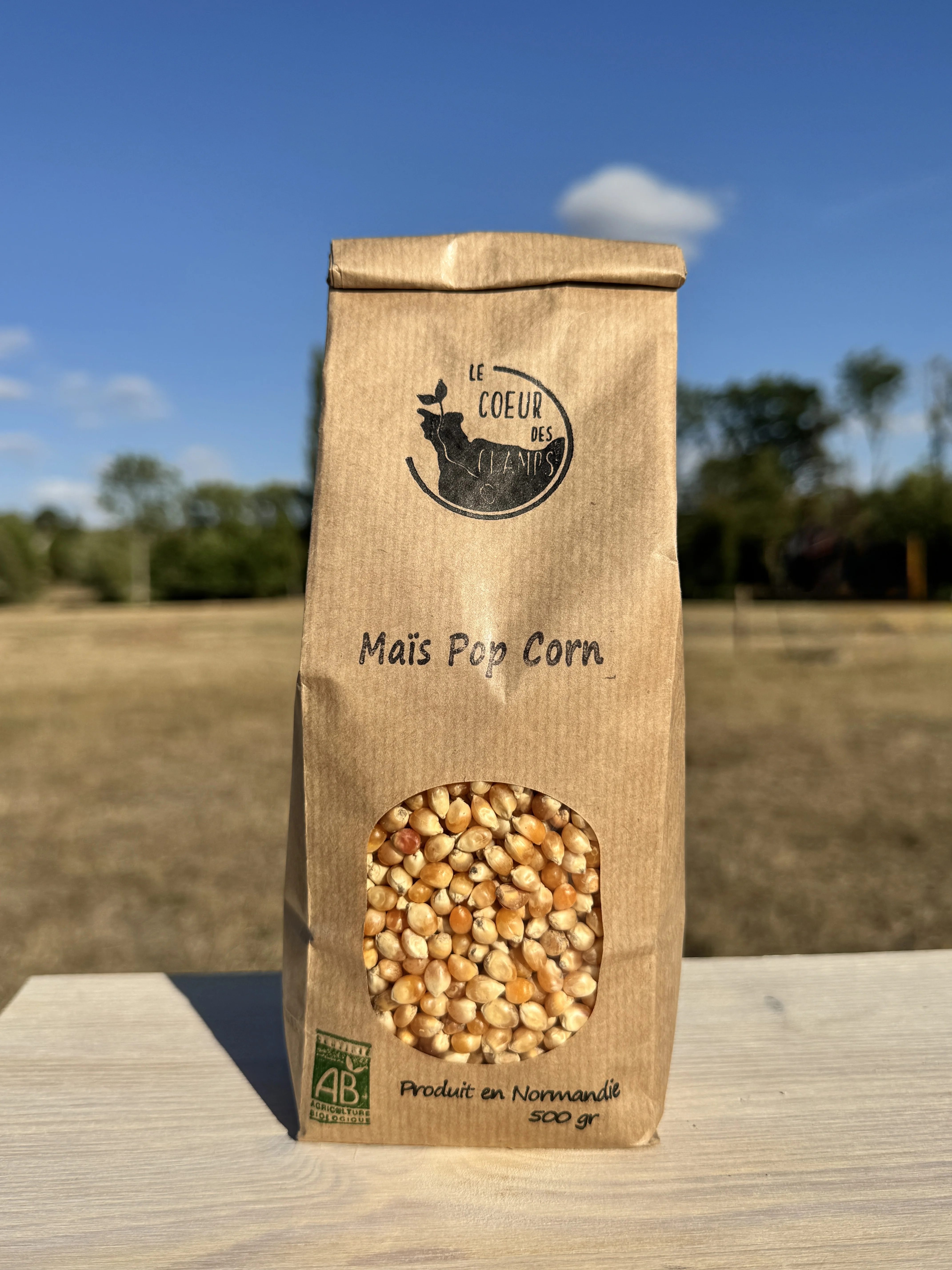 Maïs Pop-corn BIO