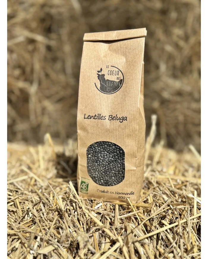 Lentilles Beluga BIO